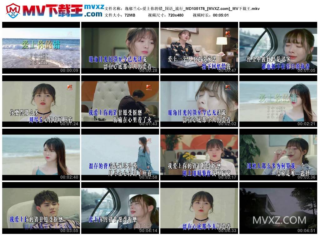 逸郁兰心-爱上你的错_国语_流行_MD105178